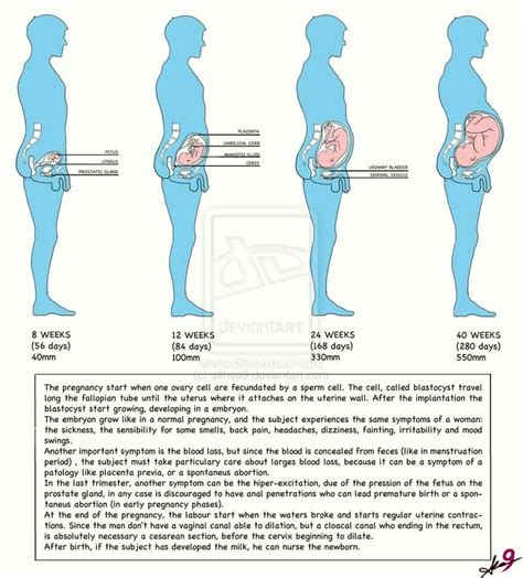 omega reproductive system|male and female omegas.